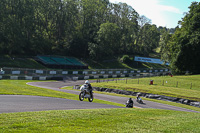 Fast Touring Group Multicolour Bikes